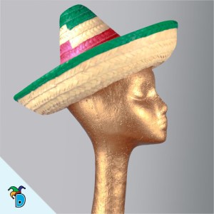 Sombrero Zapata Tricolor
